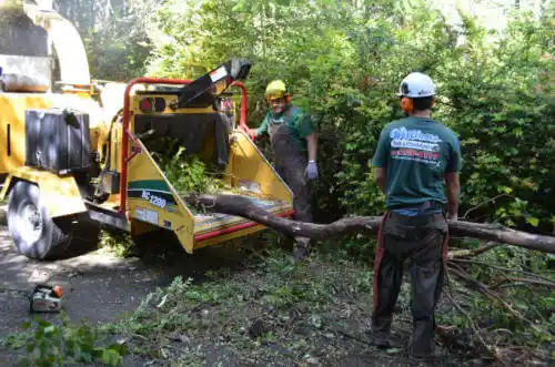 tree services Sun River Terrace